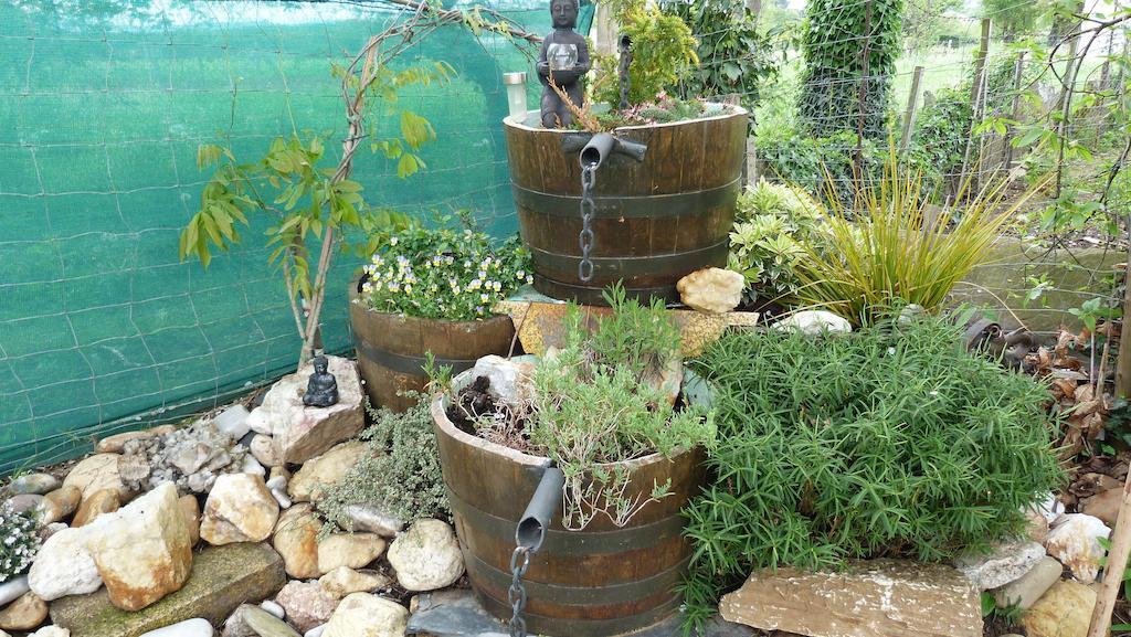 סאריה Pension Albergue A Pedra מראה חיצוני תמונה